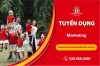 Tuyển bộ phận Marketing
